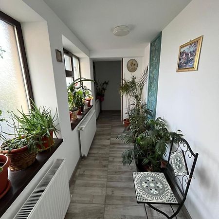 Solaria Apartment Galaţi Exteriér fotografie